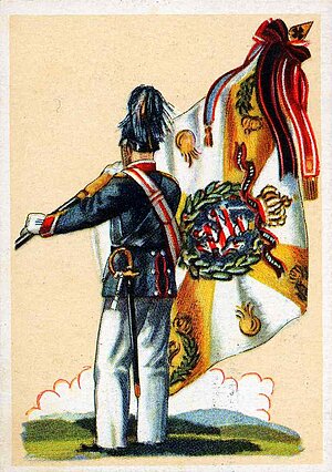 Fahnenträger mit Fahne des Infanterieregimentes Nr. 118