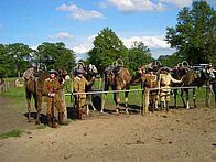 Die Kamelreiter