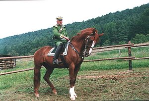 Rittmeister im Waffenrock zu Pferde